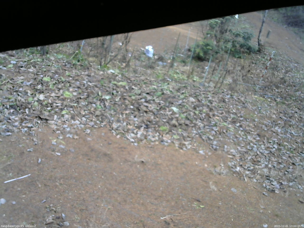 長野県菅平高原 ゆたか山荘 駐車場 2025/12/01 13:00