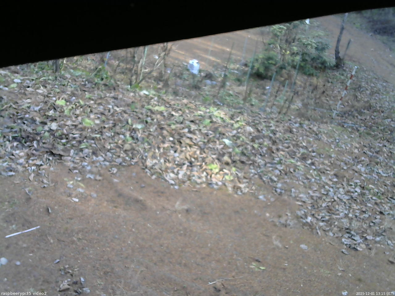 長野県菅平高原 ゆたか山荘 駐車場 2025/12/01 13:15