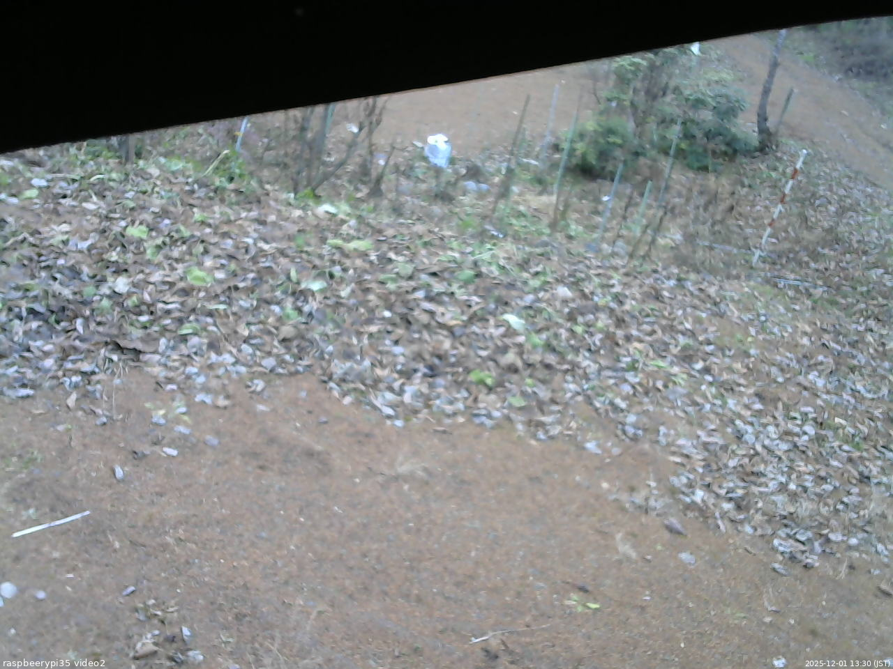 長野県菅平高原 ゆたか山荘 駐車場 2025/12/01 13:30