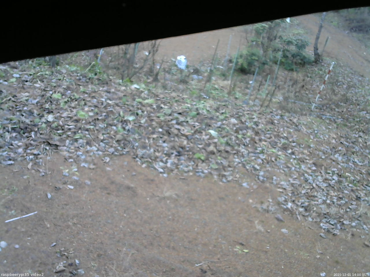 長野県菅平高原 ゆたか山荘 駐車場 2025/12/01 14:00