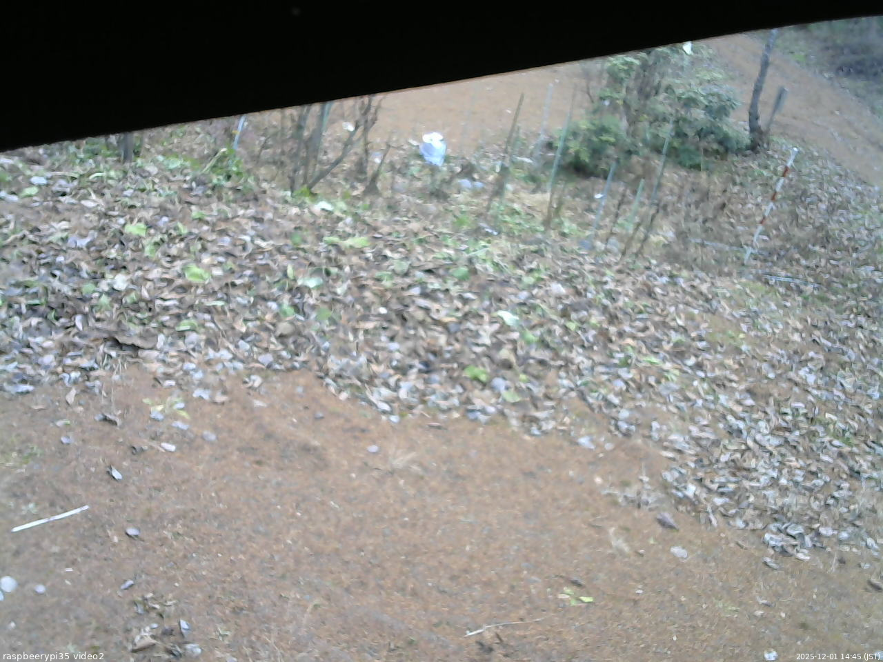 長野県菅平高原 ゆたか山荘 駐車場 2025/12/01 14:45