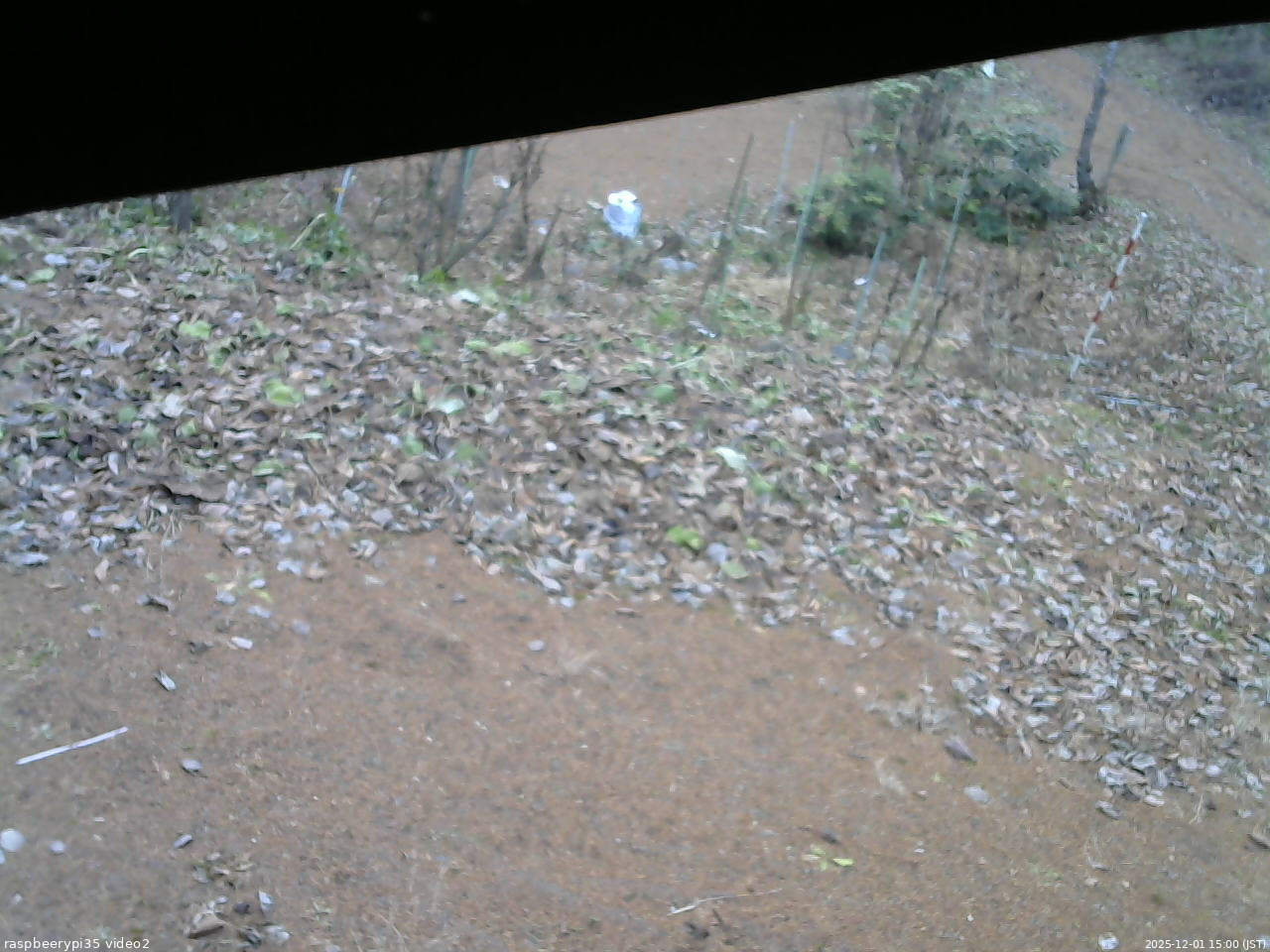 長野県菅平高原 ゆたか山荘 駐車場 2025/12/01 15:00
