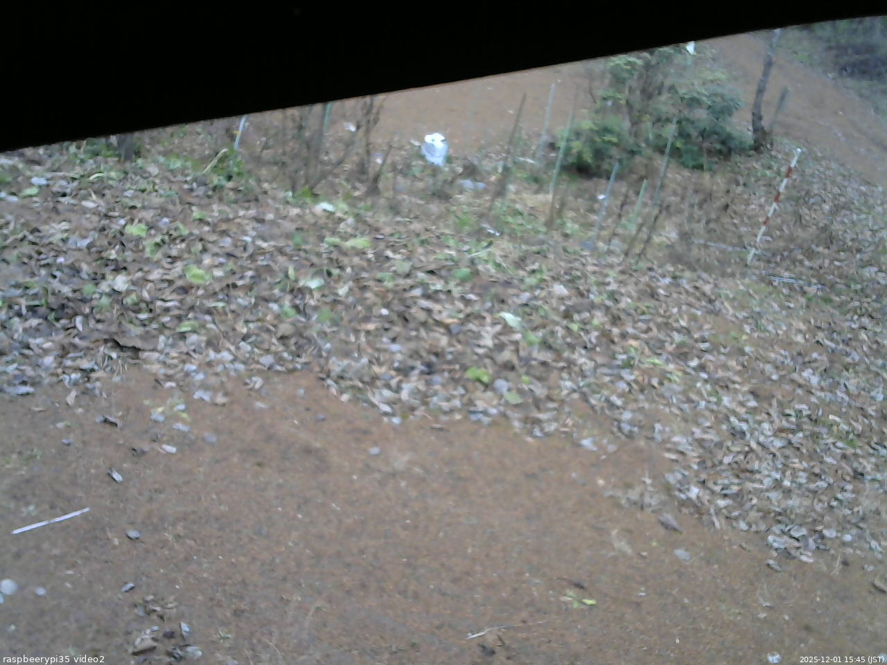 長野県菅平高原 ゆたか山荘 駐車場 2025/12/01 15:45