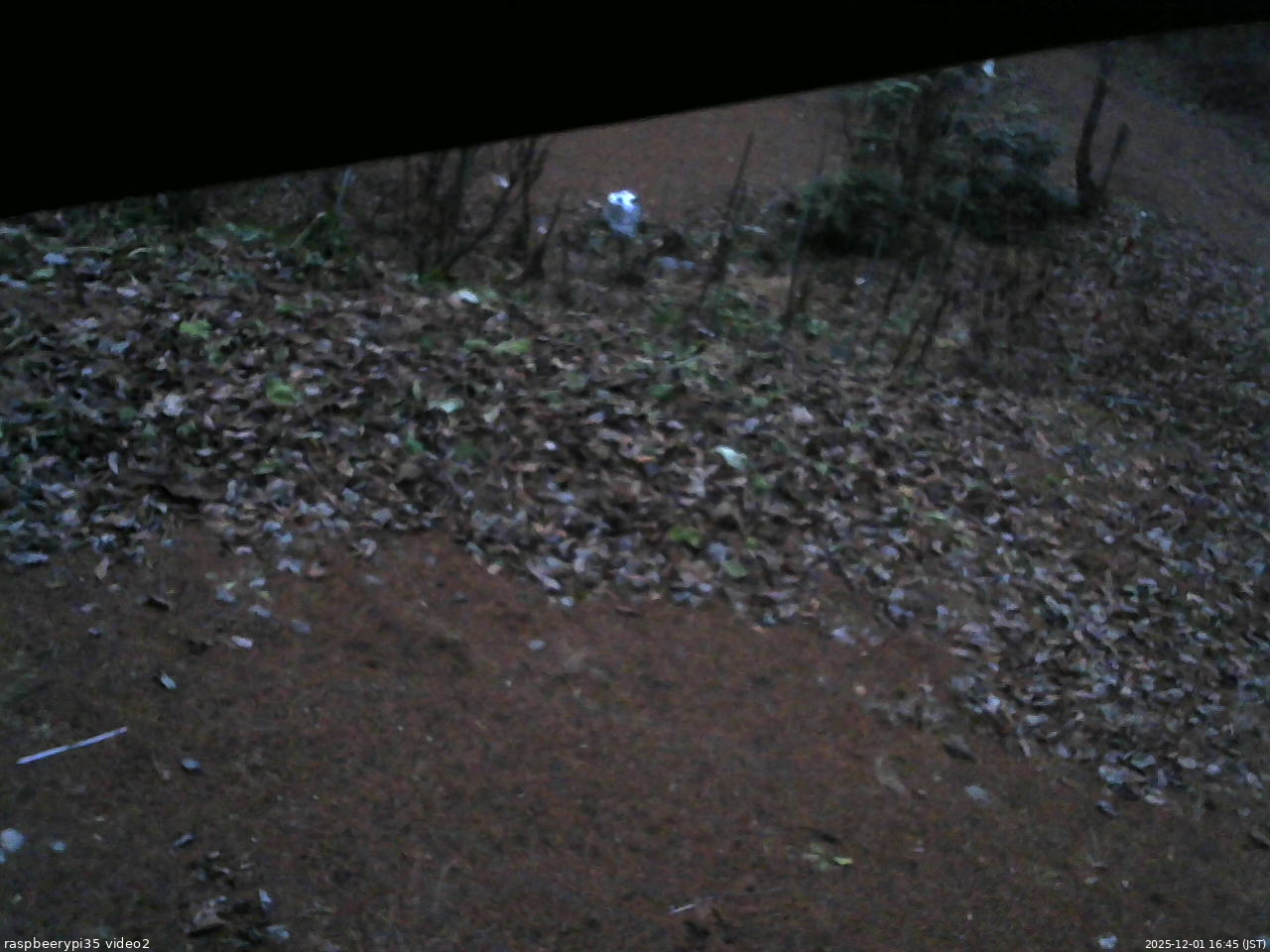 長野県菅平高原 ゆたか山荘 駐車場 2025/12/01 16:45
