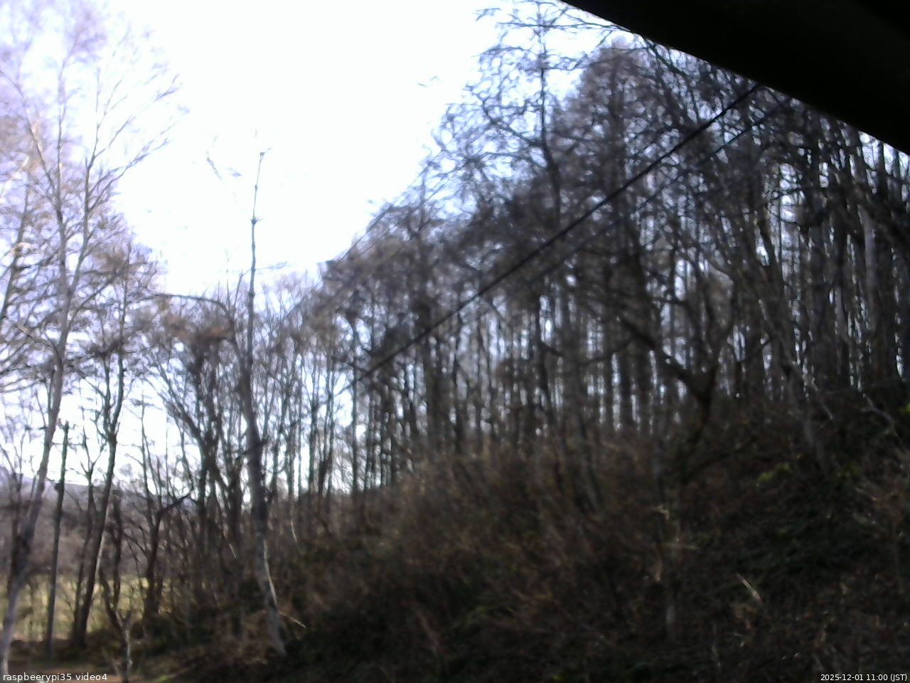 長野県菅平高原 ゆたか山荘 東側上空 2025/12/01 11:00