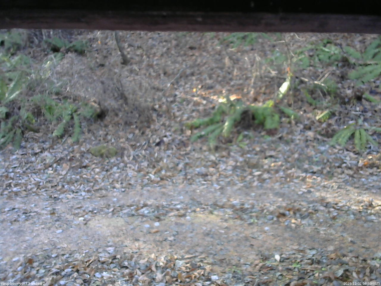 長野県菅平高原 ゆたか山荘 南側 2025/12/02 08:30