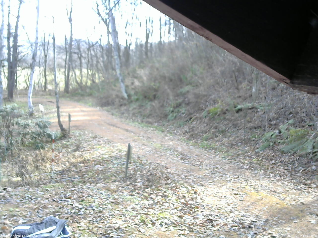 長野県菅平高原 ゆたか山荘 東側(坂下) 2025/12/02 10:45