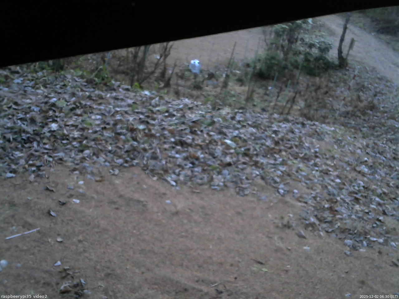 長野県菅平高原 ゆたか山荘 駐車場 2025/12/02 06:30