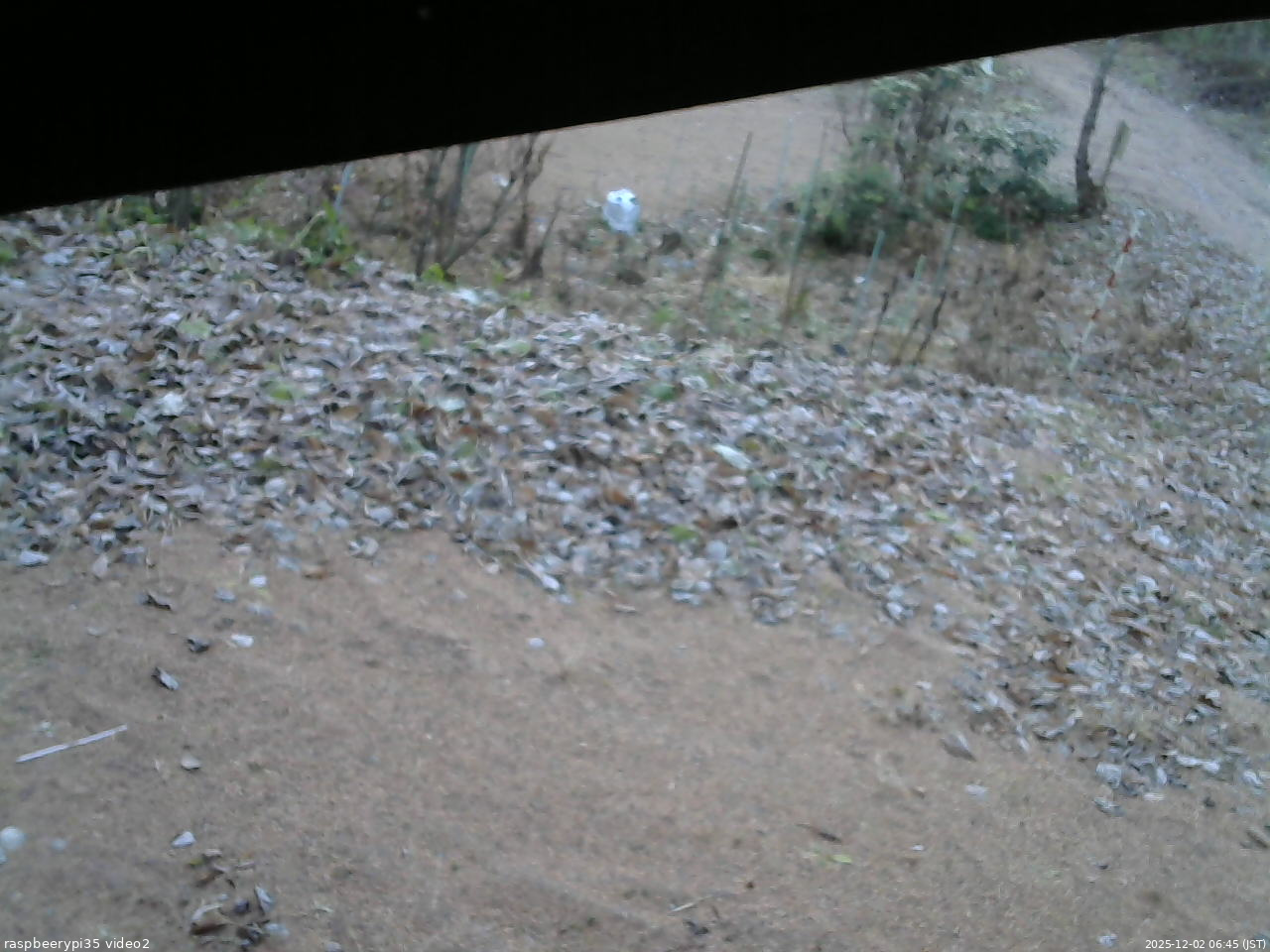 長野県菅平高原 ゆたか山荘 駐車場 2025/12/02 06:45