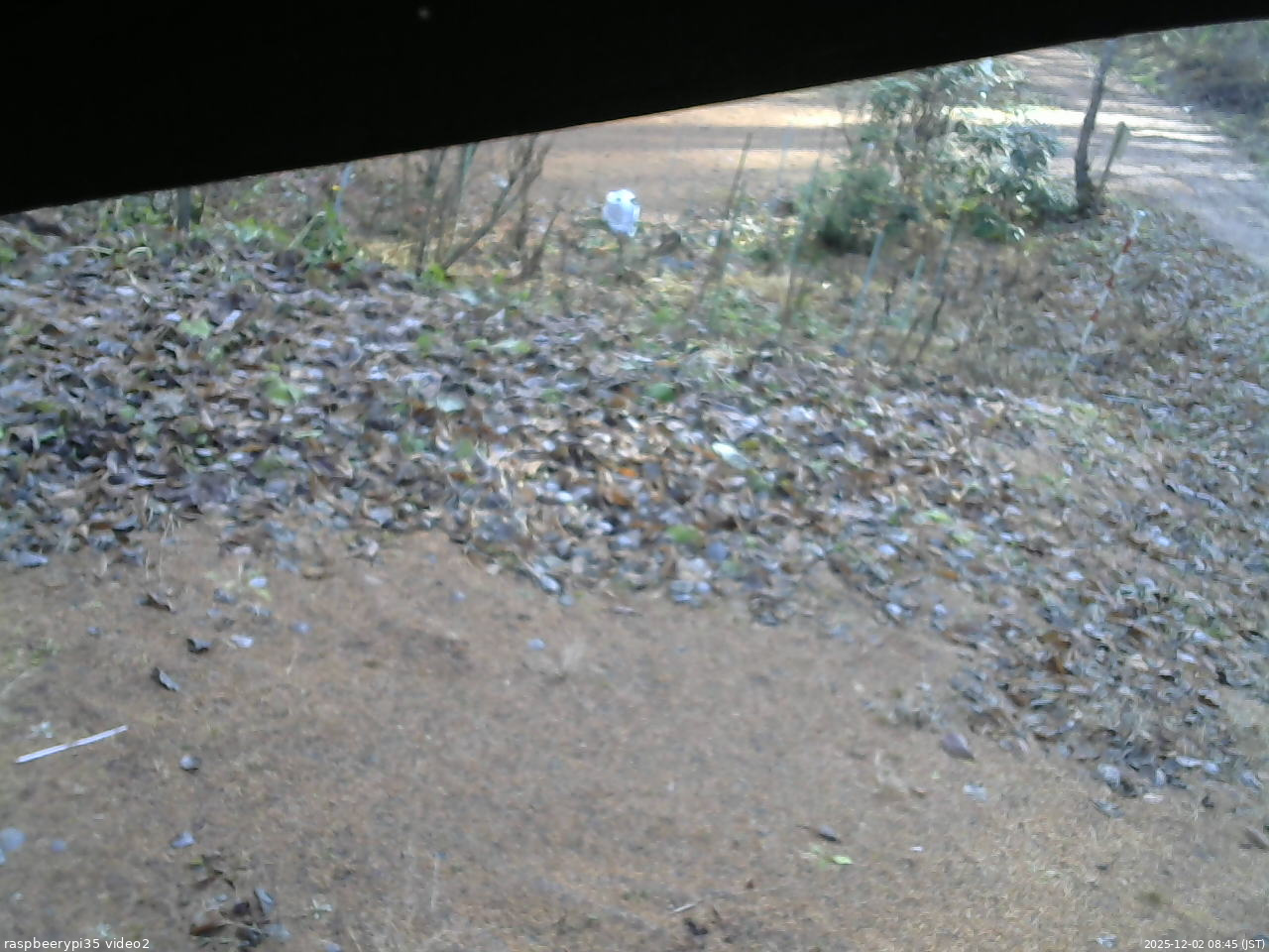 長野県菅平高原 ゆたか山荘 駐車場 2025/12/02 08:45