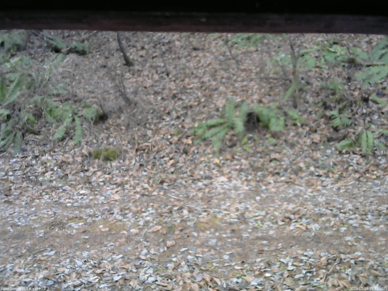 長野県菅平高原 ゆたか山荘 南側 2025/12/03 10:15