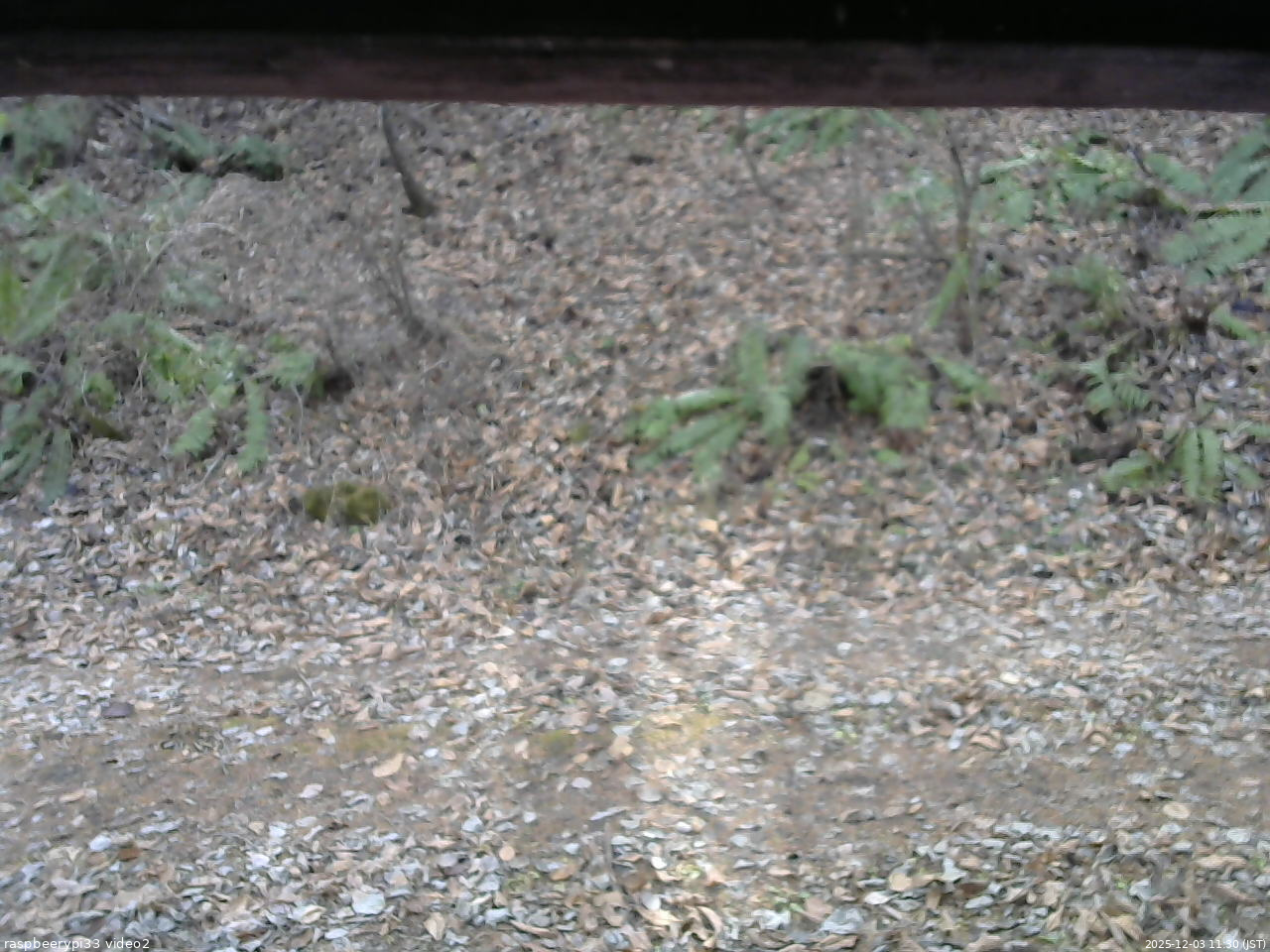 長野県菅平高原 ゆたか山荘 南側 2025/12/03 11:30
