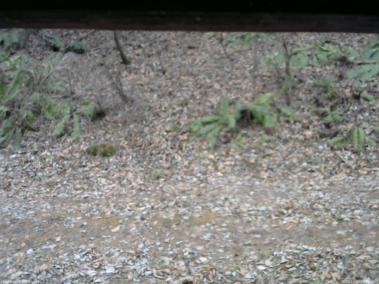 長野県菅平高原 ゆたか山荘 南側 2025/12/03 13:15