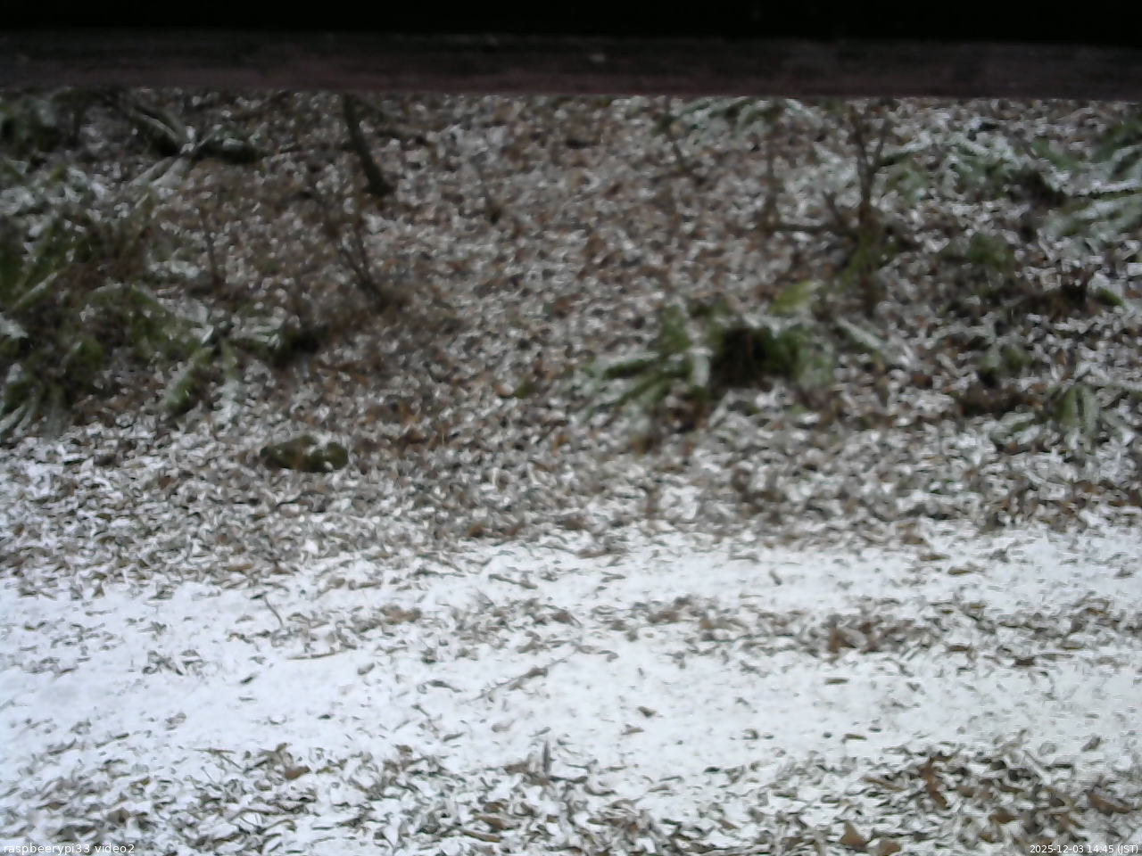 長野県菅平高原 ゆたか山荘 南側 2025/12/03 14:45
