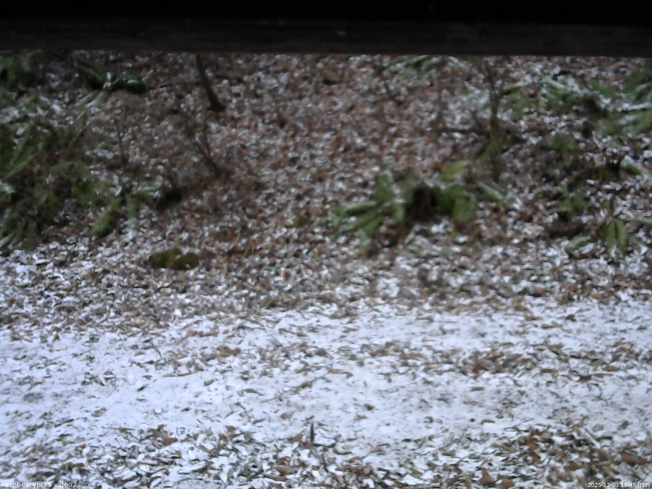 長野県菅平高原 ゆたか山荘 南側 2025/12/03 15:45