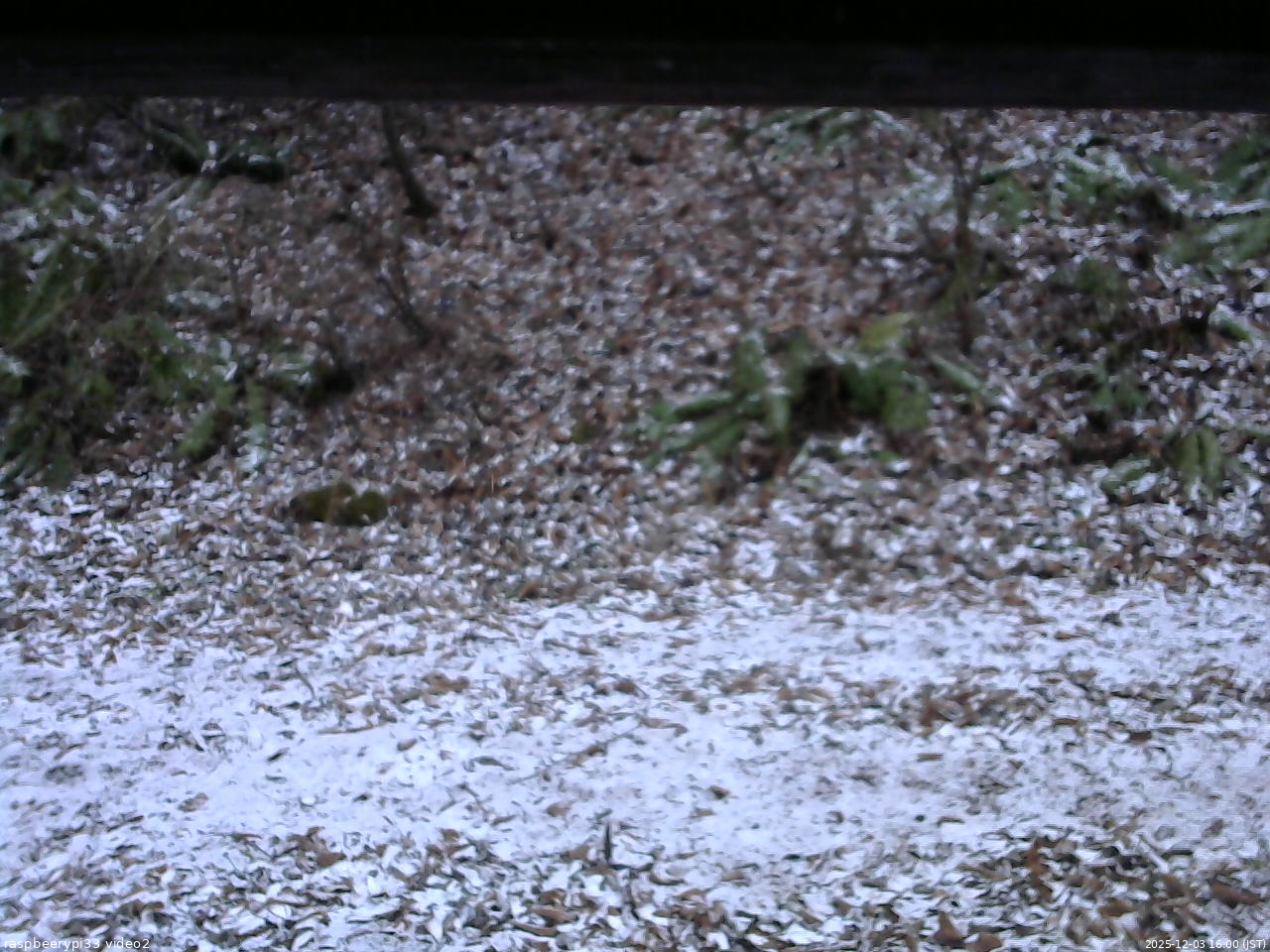 長野県菅平高原 ゆたか山荘 南側 2025/12/03 16:00