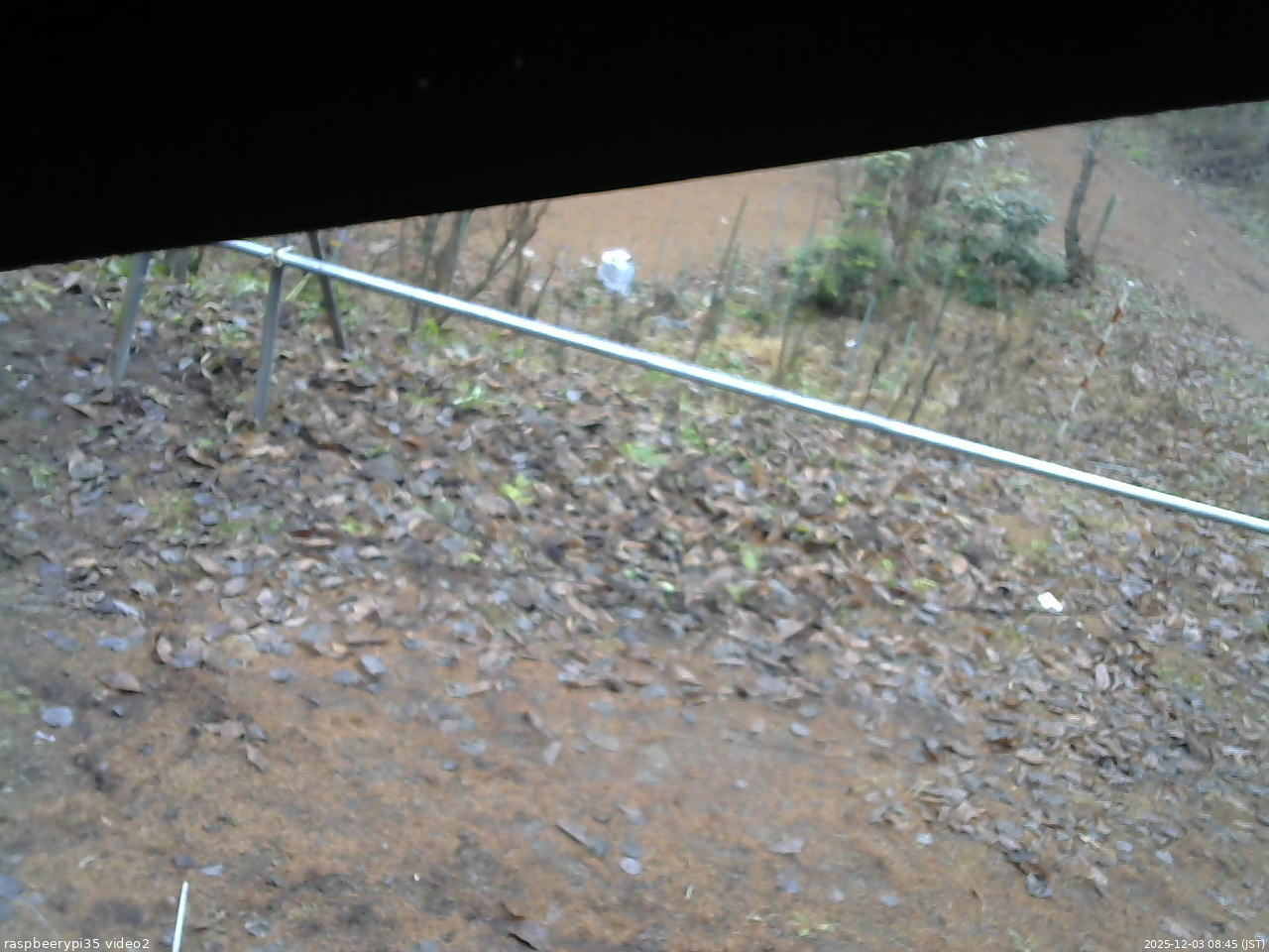 長野県菅平高原 ゆたか山荘 駐車場 2025/12/03 08:45