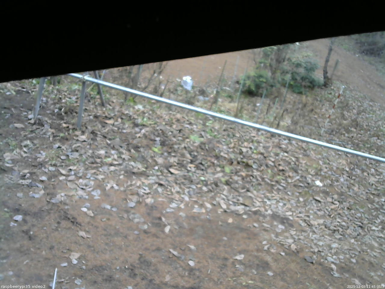 長野県菅平高原 ゆたか山荘 駐車場 2025/12/03 11:45