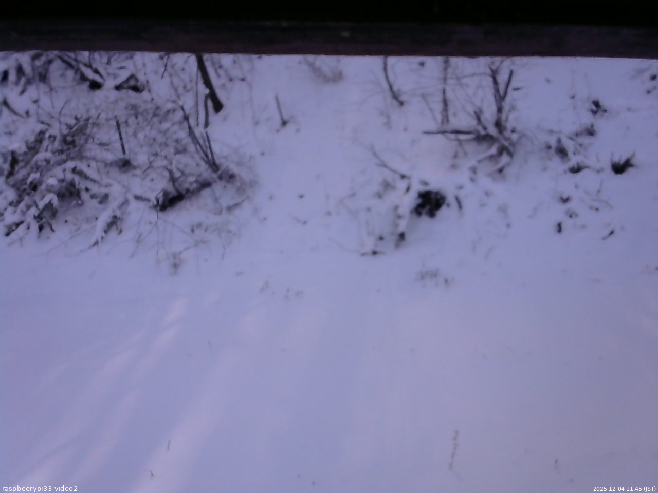 長野県菅平高原 ゆたか山荘 南側 2025/12/04 11:45