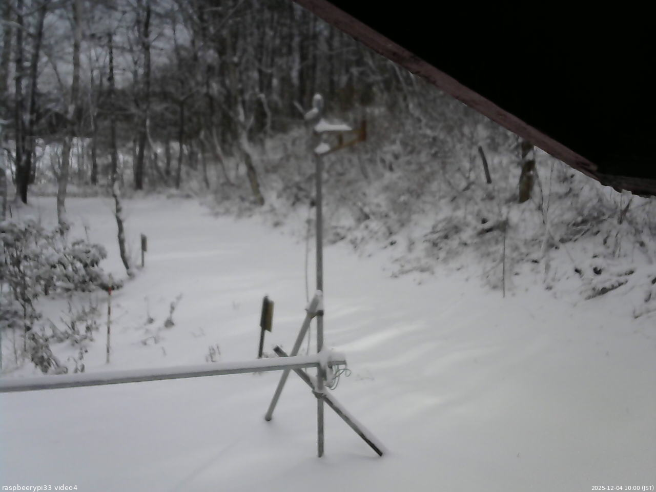 長野県菅平高原 ゆたか山荘 東側(坂下) 2025/12/04 10:00