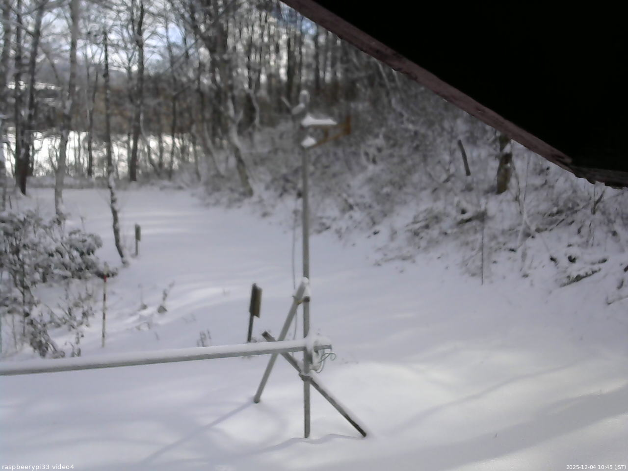 長野県菅平高原 ゆたか山荘 東側(坂下) 2025/12/04 10:45