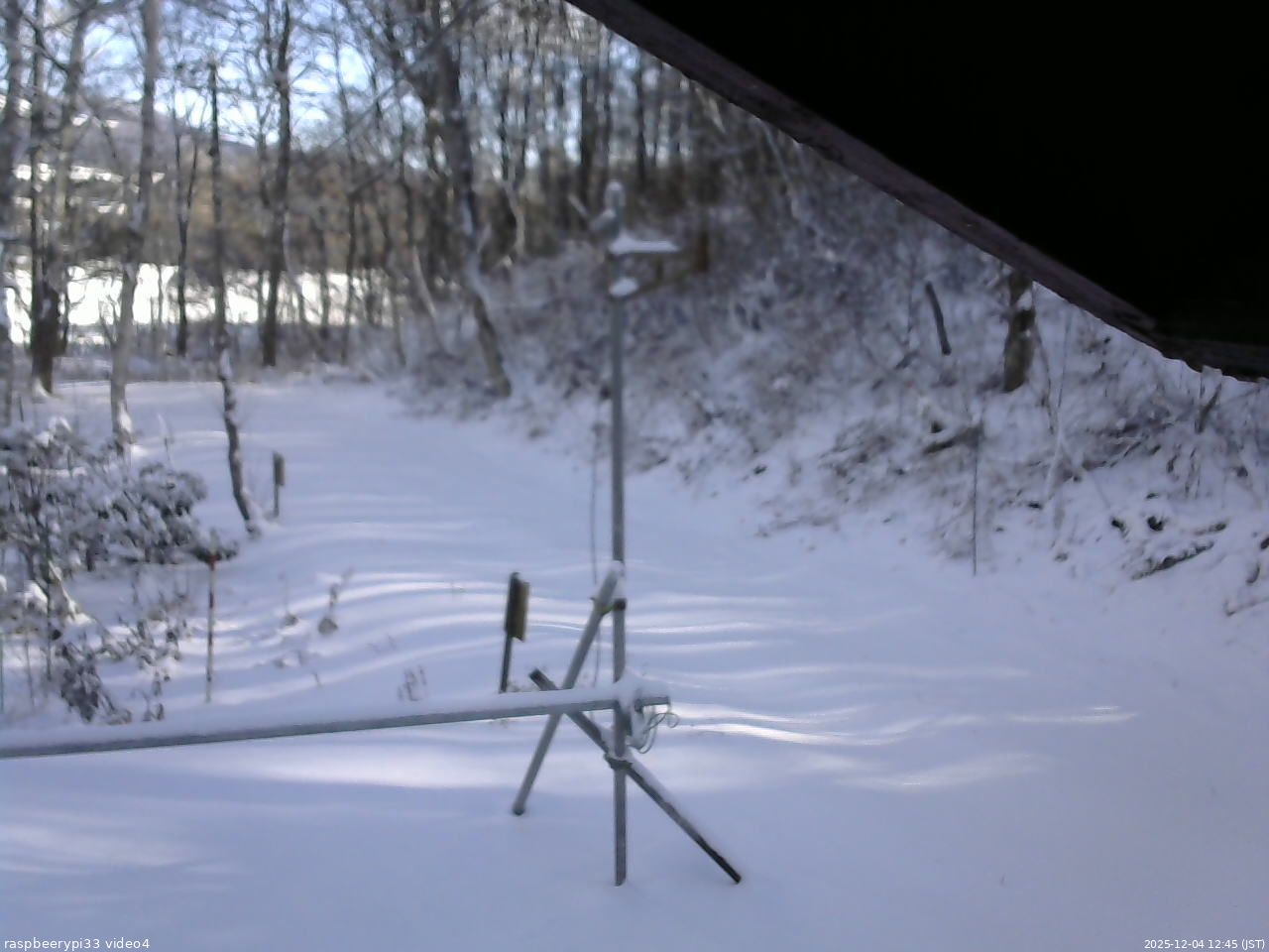 長野県菅平高原 ゆたか山荘 東側(坂下) 2025/12/04 12:45