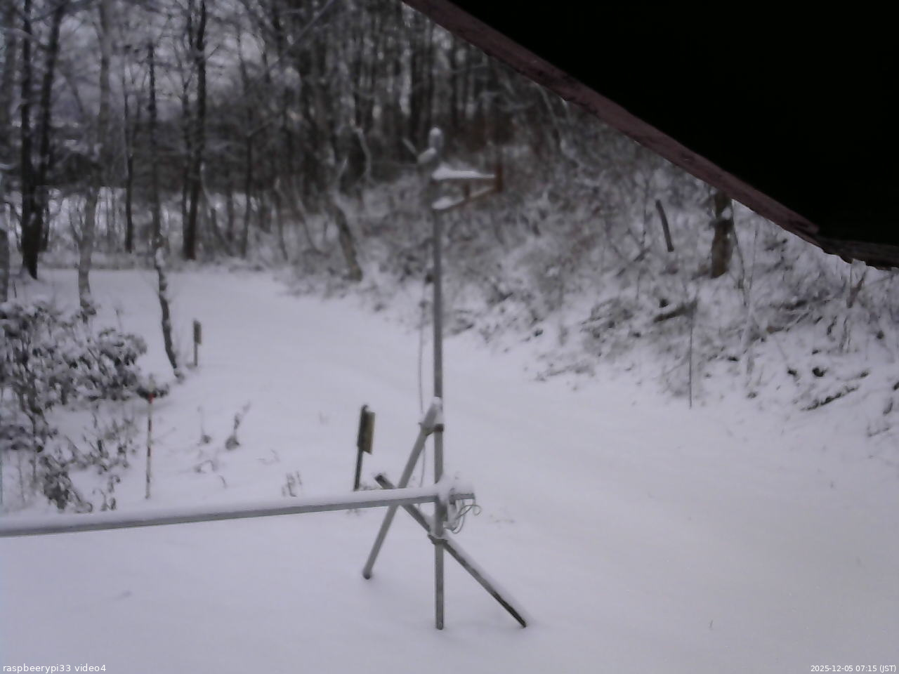 長野県菅平高原 ゆたか山荘 東側(坂下) 2025/12/05 07:15