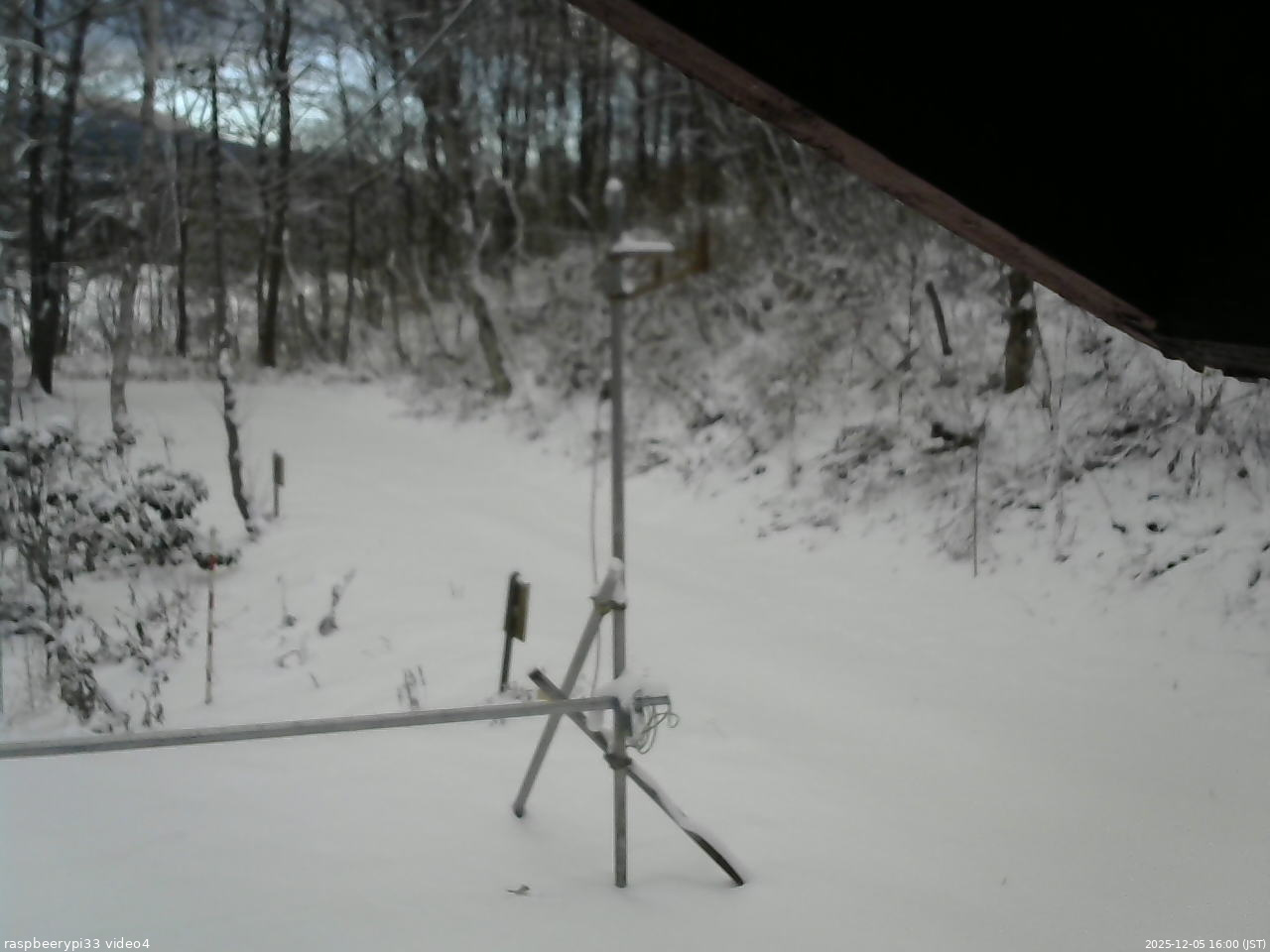 長野県菅平高原 ゆたか山荘 東側(坂下) 2025/12/05 16:00