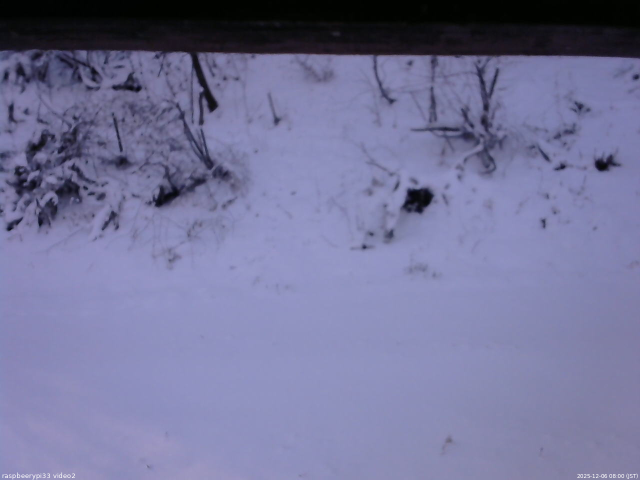 長野県菅平高原 ゆたか山荘 南側 2025/12/06 08:00
