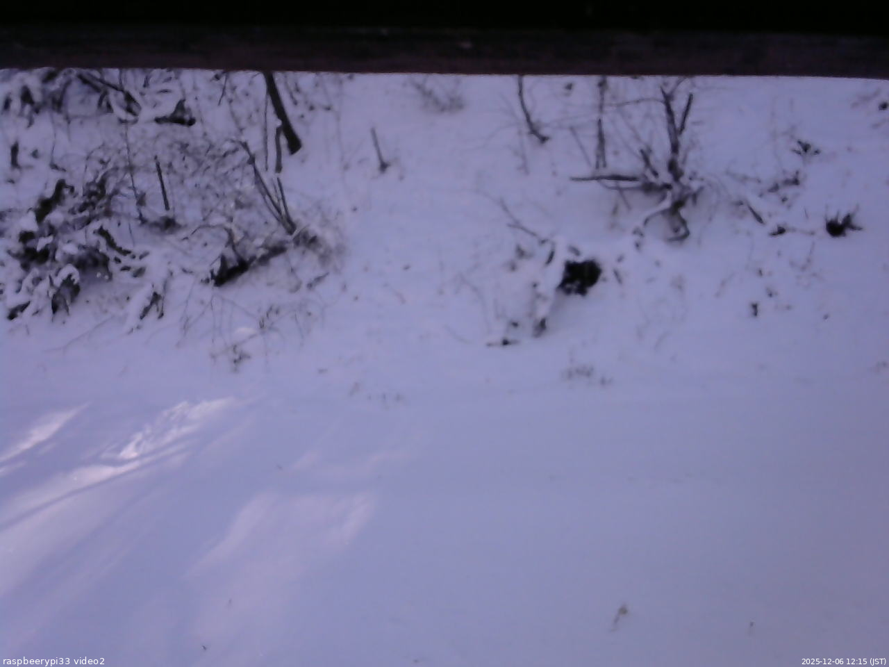 長野県菅平高原 ゆたか山荘 南側 2025/12/06 12:15