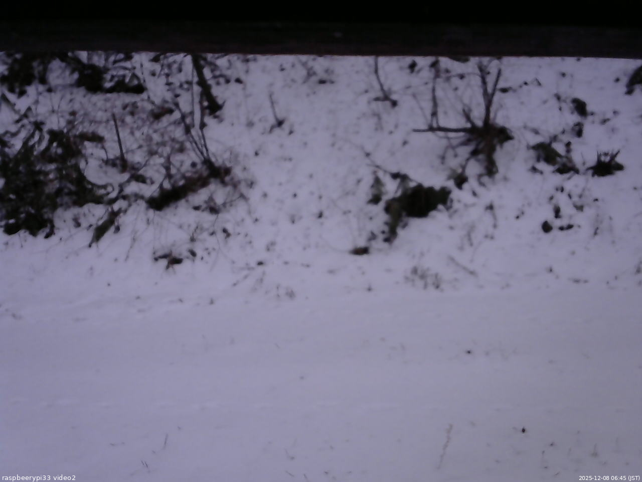 長野県菅平高原 ゆたか山荘 南側 2025/12/08 06:45