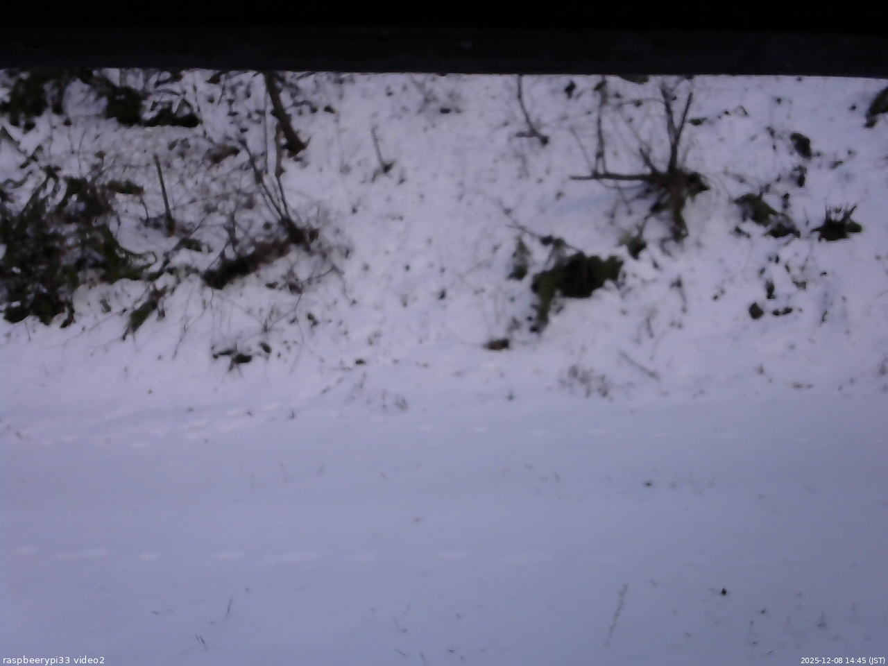 長野県菅平高原 ゆたか山荘 南側 2025/12/08 14:45