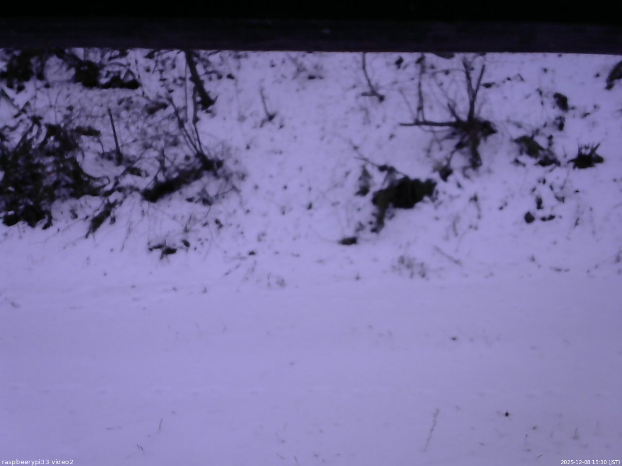長野県菅平高原 ゆたか山荘 南側 2025/12/08 15:30