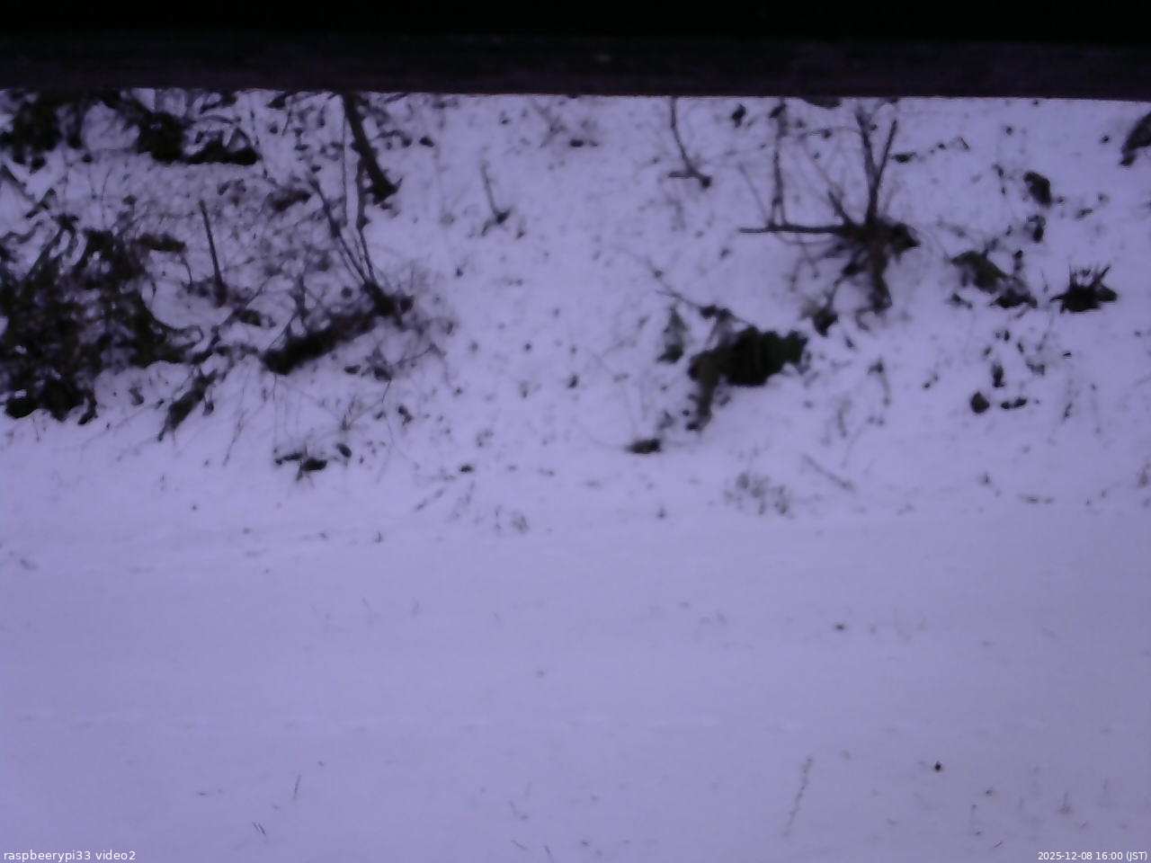 長野県菅平高原 ゆたか山荘 南側 2025/12/08 16:00