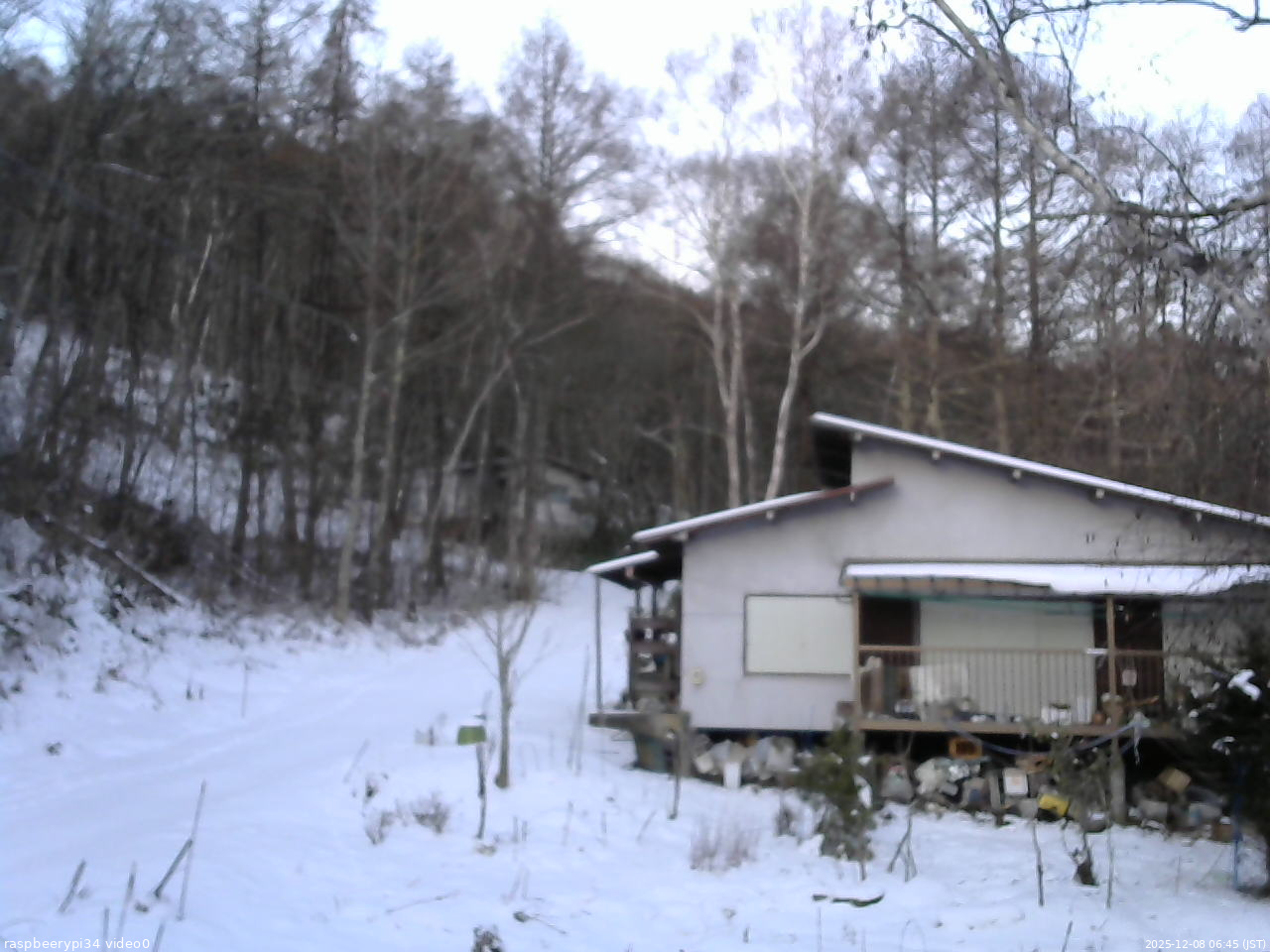 長野県菅平高原 ゆたか山荘 西側(坂上) 2025/12/08 06:45