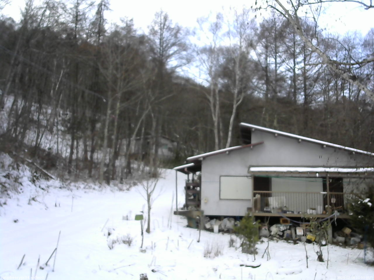 長野県菅平高原 ゆたか山荘 西側(坂上) 2025/12/08 11:00