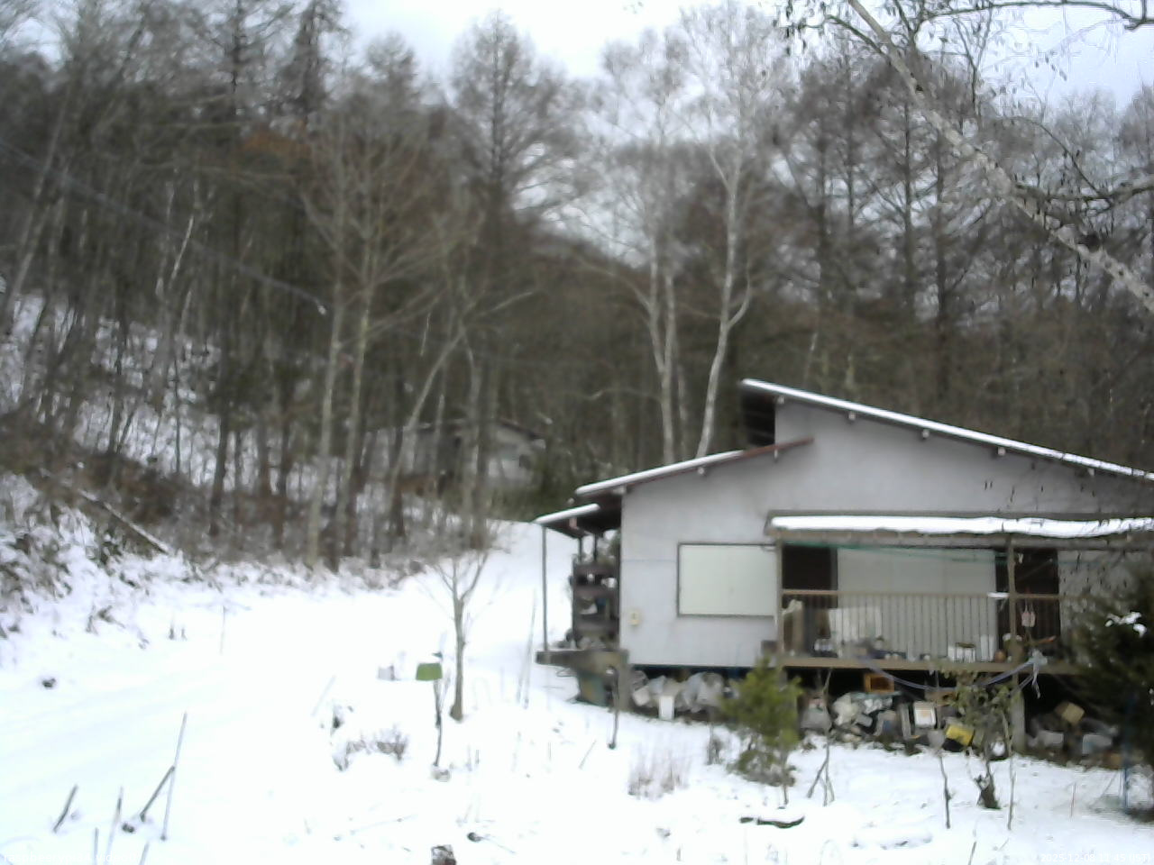 長野県菅平高原 ゆたか山荘 西側(坂上) 2025/12/08 11:45