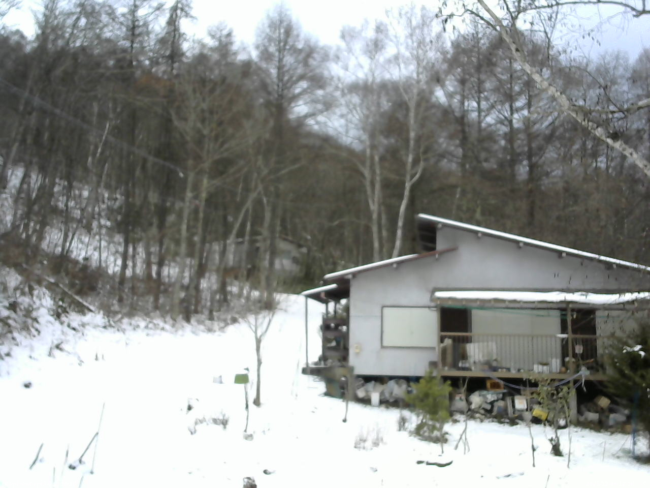 長野県菅平高原 ゆたか山荘 西側(坂上) 2025/12/08 12:00