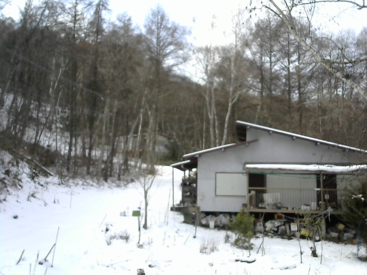 長野県菅平高原 ゆたか山荘 西側(坂上) 2025/12/08 12:15