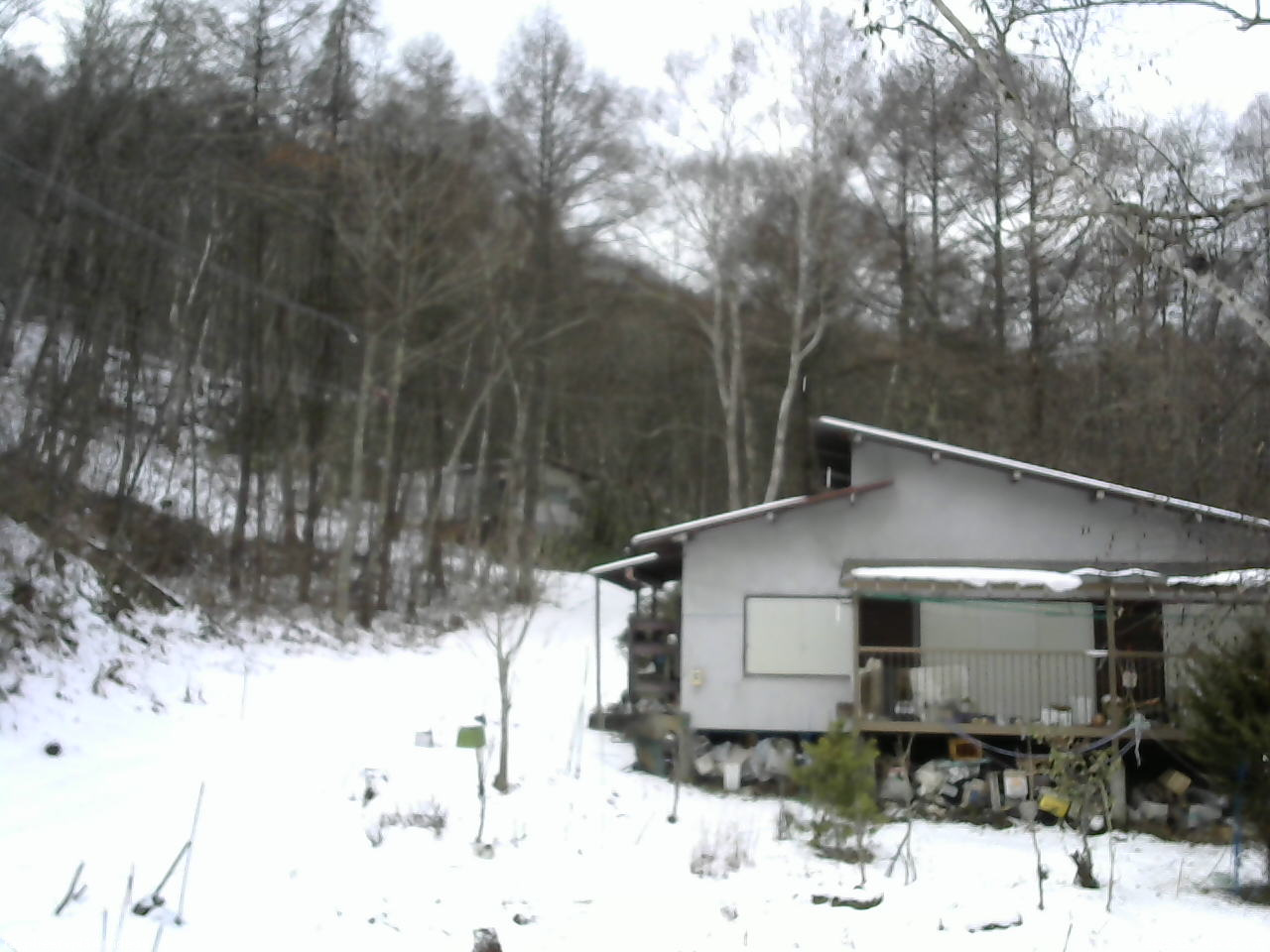 長野県菅平高原 ゆたか山荘 西側(坂上) 2025/12/08 14:45