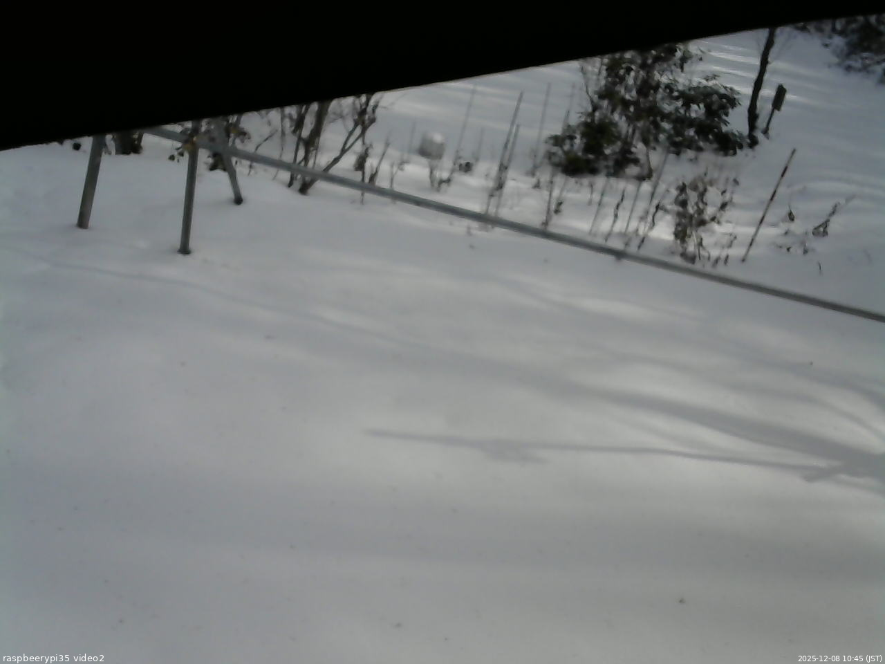 長野県菅平高原 ゆたか山荘 駐車場 2025/12/08 10:45