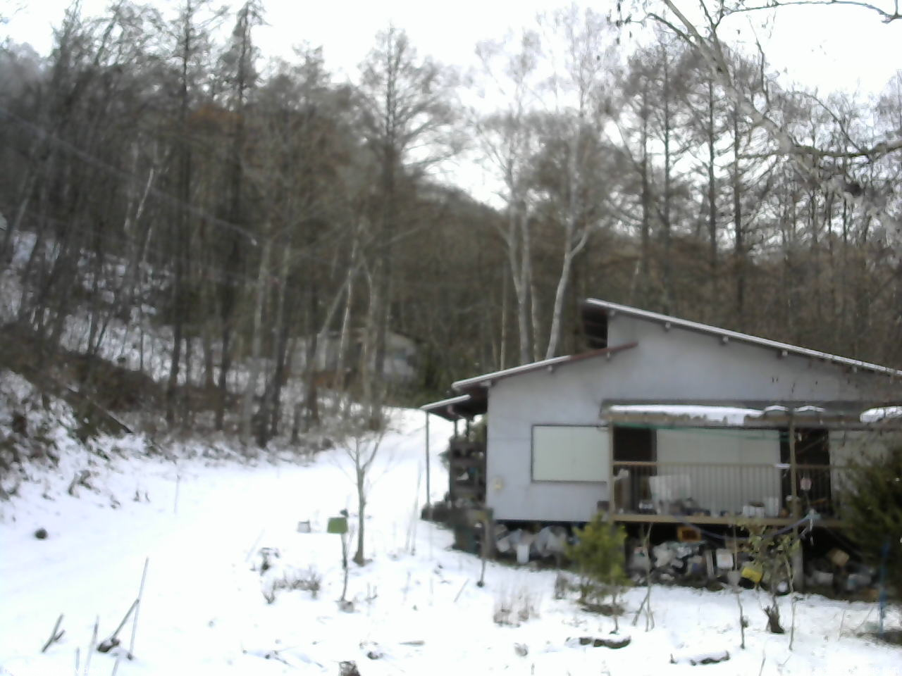長野県菅平高原 ゆたか山荘 西側(坂上) 2025/12/09 12:45