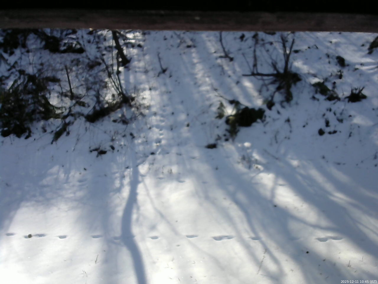 長野県菅平高原 ゆたか山荘 南側 2025/12/11 10:45