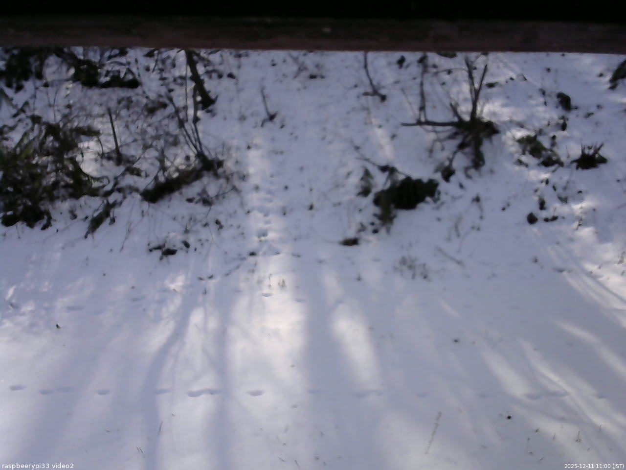 長野県菅平高原 ゆたか山荘 南側 2025/12/11 11:00