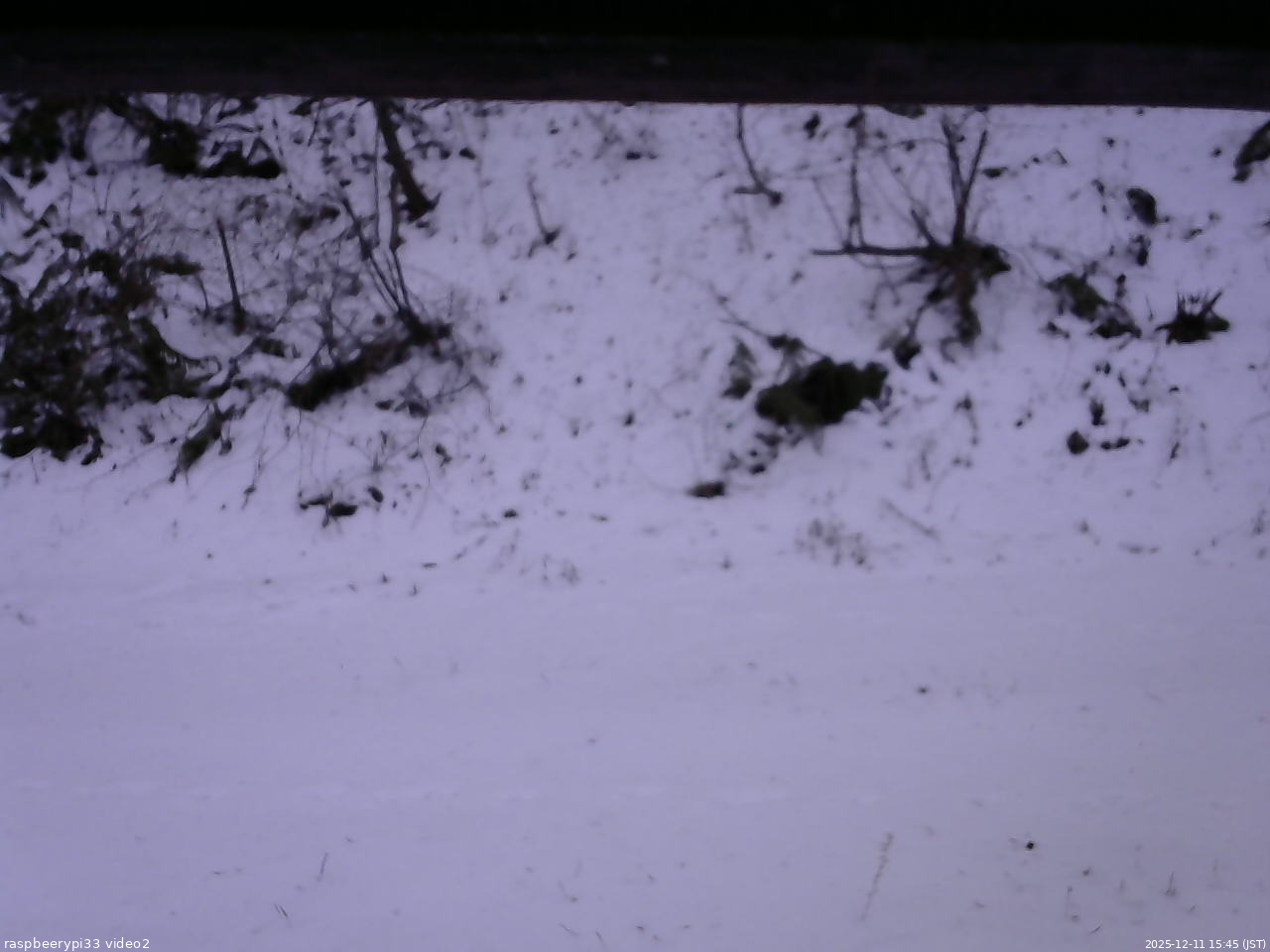 長野県菅平高原 ゆたか山荘 南側 2025/12/11 15:45