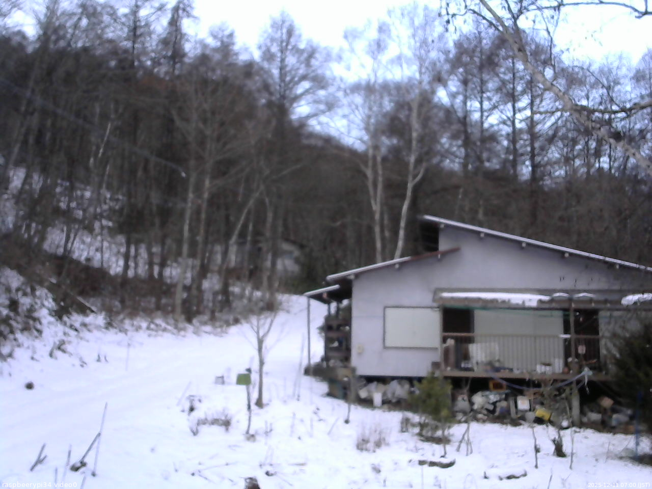 長野県菅平高原 ゆたか山荘 西側(坂上) 2025/12/11 07:00