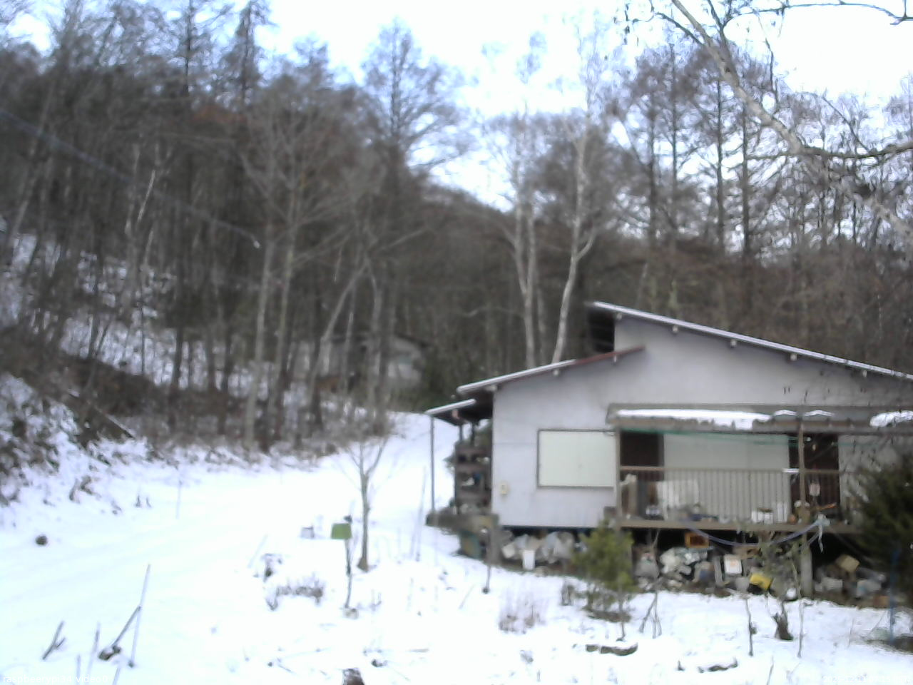 長野県菅平高原 ゆたか山荘 西側(坂上) 2025/12/11 07:15
