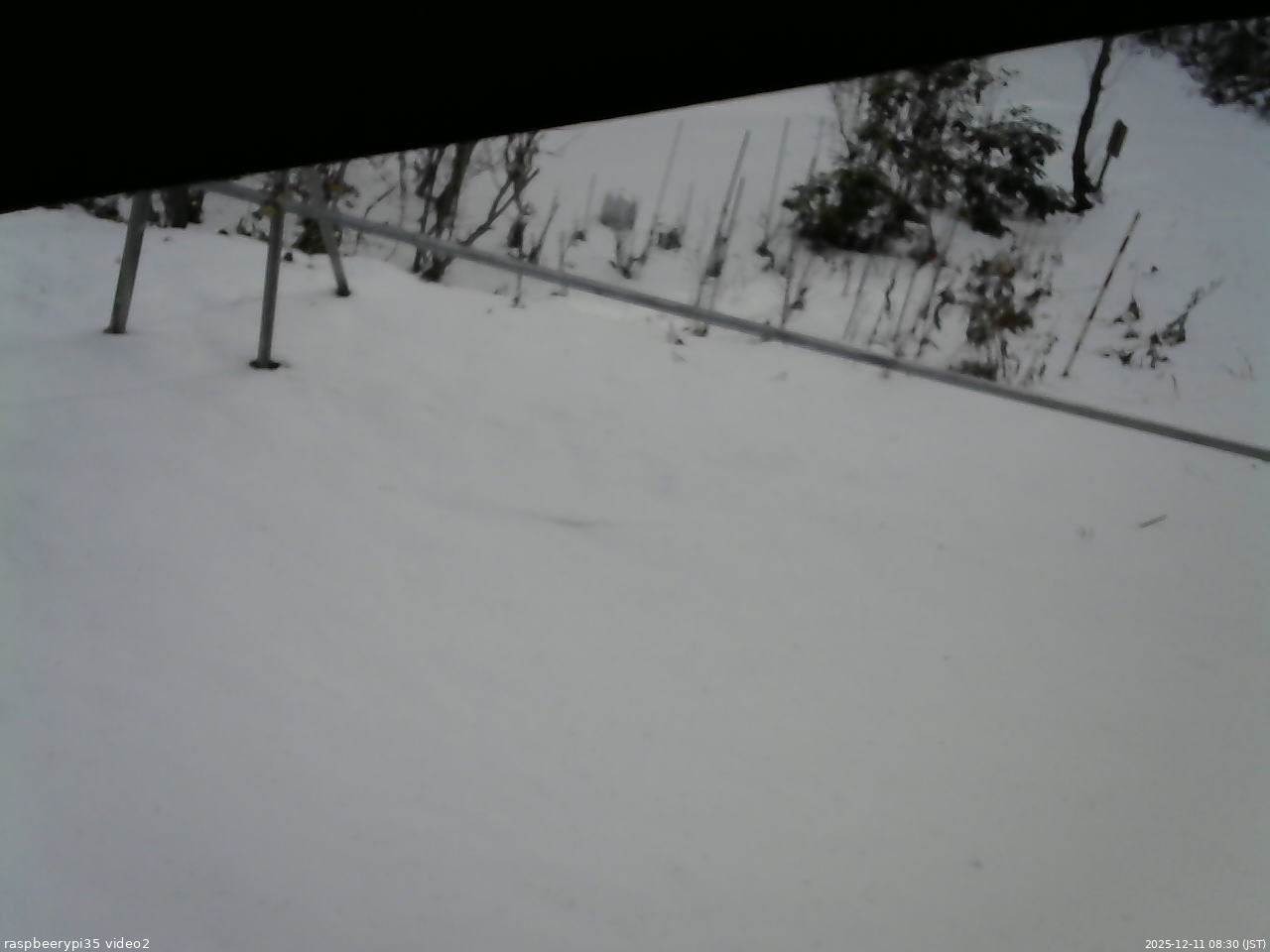 長野県菅平高原 ゆたか山荘 駐車場 2025/12/11 08:30