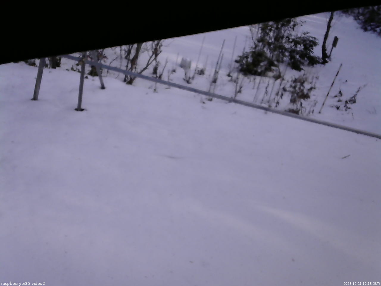 長野県菅平高原 ゆたか山荘 駐車場 2025/12/11 12:15