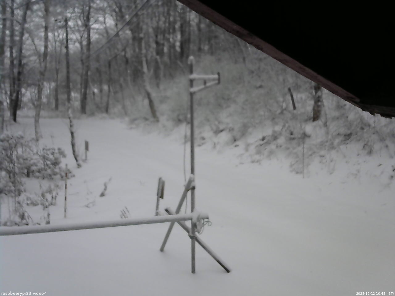 長野県菅平高原 ゆたか山荘 東側(坂下) 2025/12/12 10:45